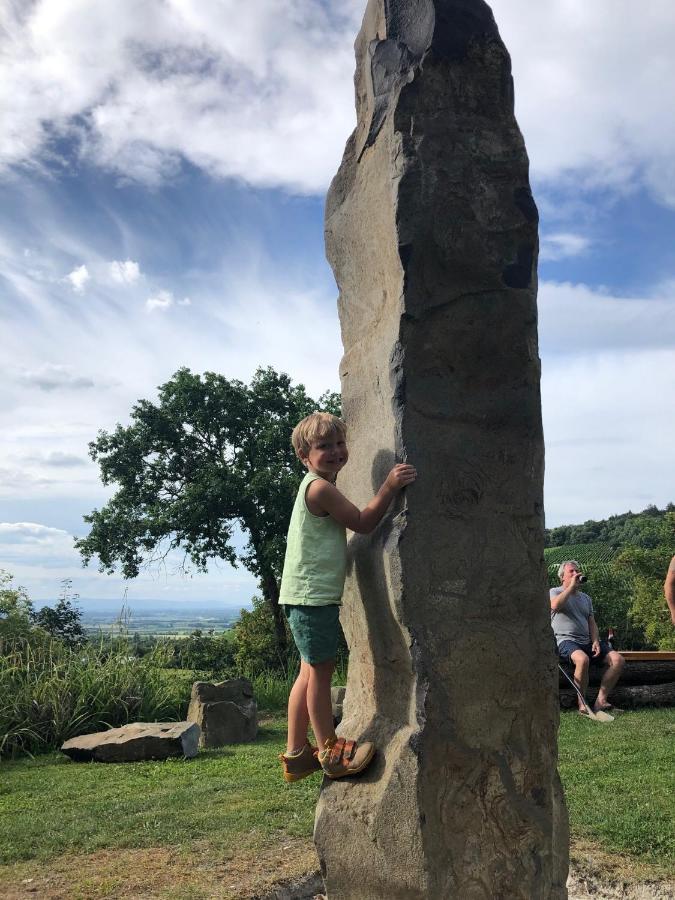 Paradies 2 Castellberg-Jakobsweg Döttingen Zewnętrze zdjęcie