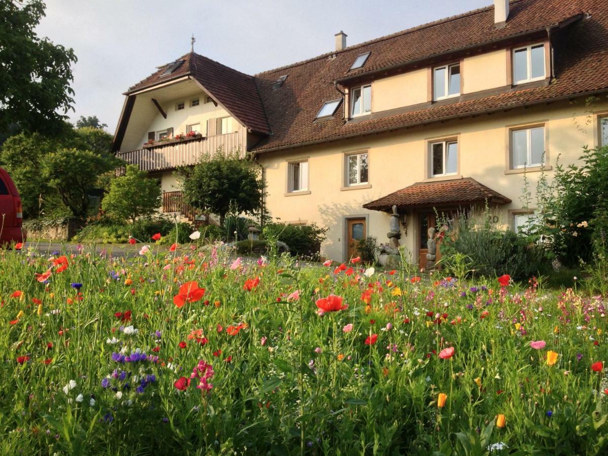 Paradies 2 Castellberg-Jakobsweg Döttingen Zewnętrze zdjęcie